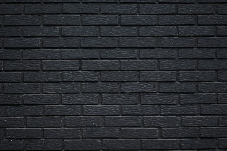 srv-mold-wall